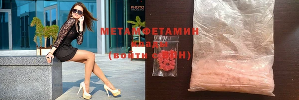 прущие грибы Новозыбков