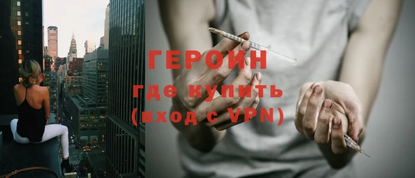 прущие грибы Новозыбков