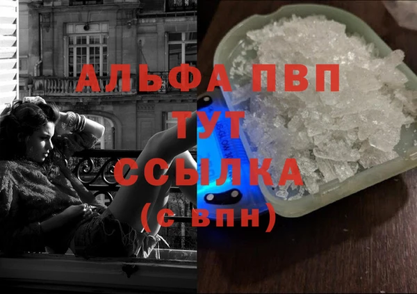 прущие грибы Новозыбков