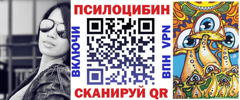 Псилоцибиновые грибы Psilocybine cubensis  Кубинка 
