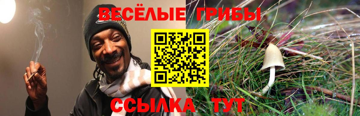 Псилоцибиновые грибы Psilocybe  Псилоцибиновые грибы мицелий  Вход с VPN  Кубинка 