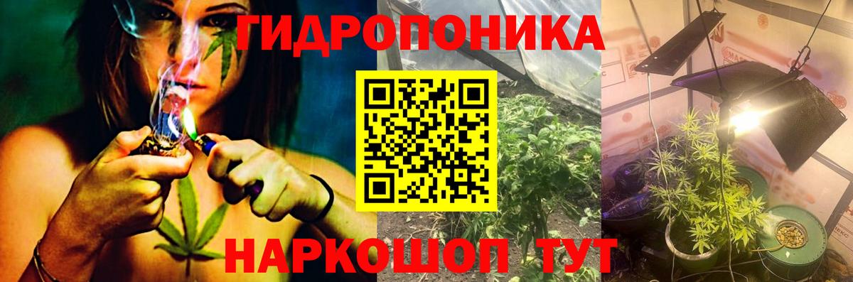 Канабис SATIVA & INDICA Кубинка